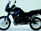 Triumph Tiger 900